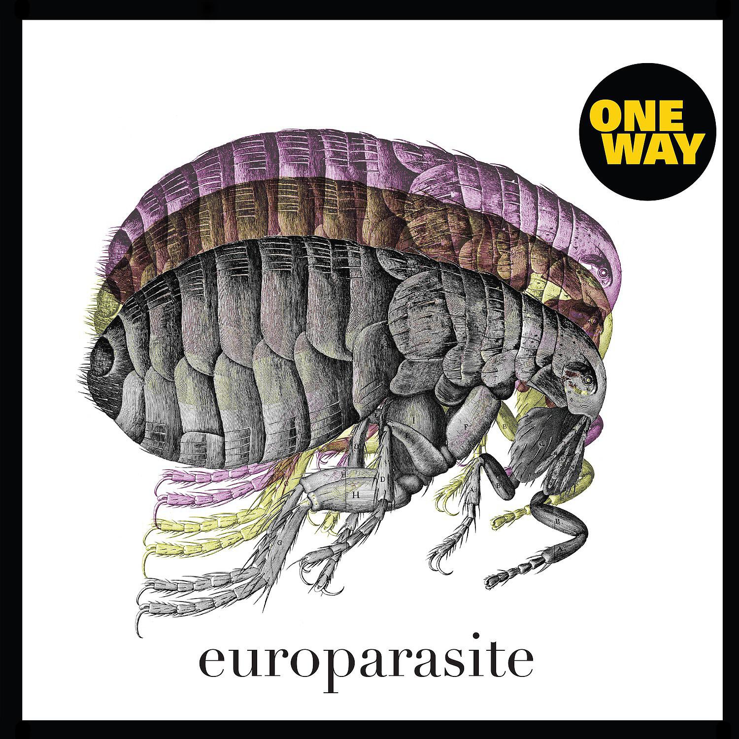 Релиз Europarasite