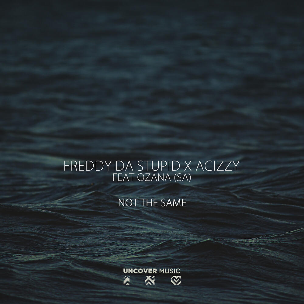 Релиз Not The Same