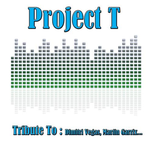 Релиз Project T: Tribute to Dimitri Vegas, Martin Garrix