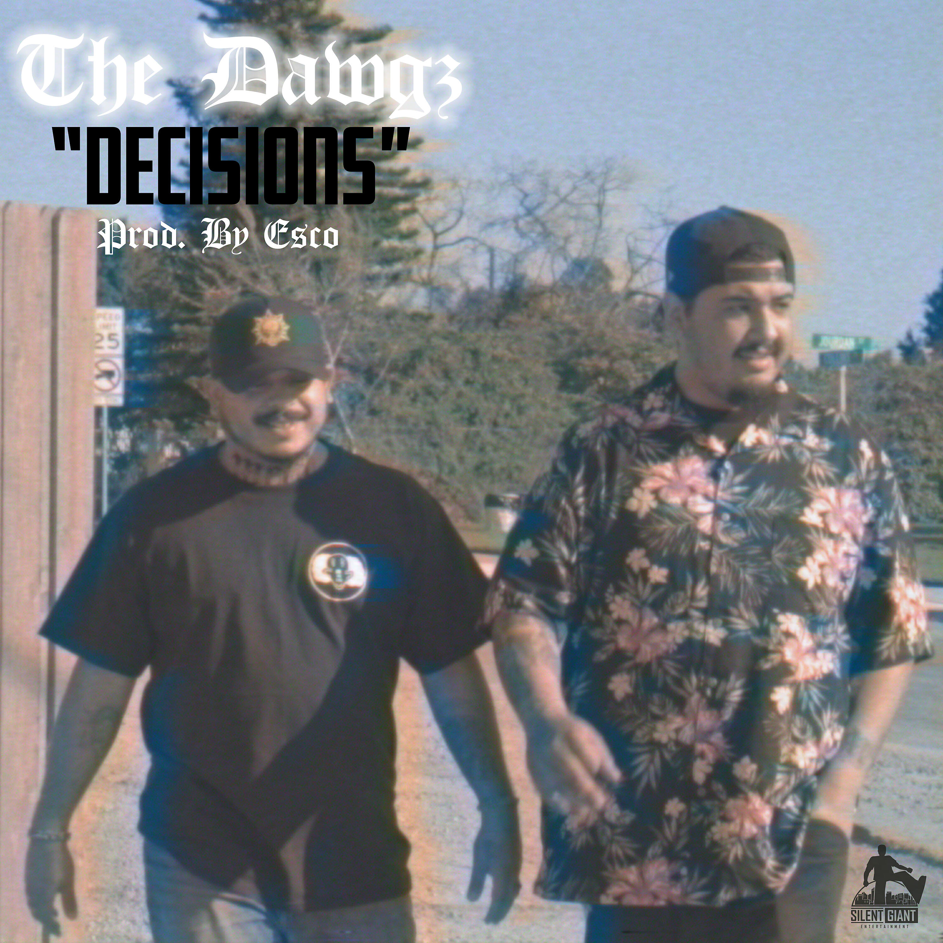 Постер альбома Decisions