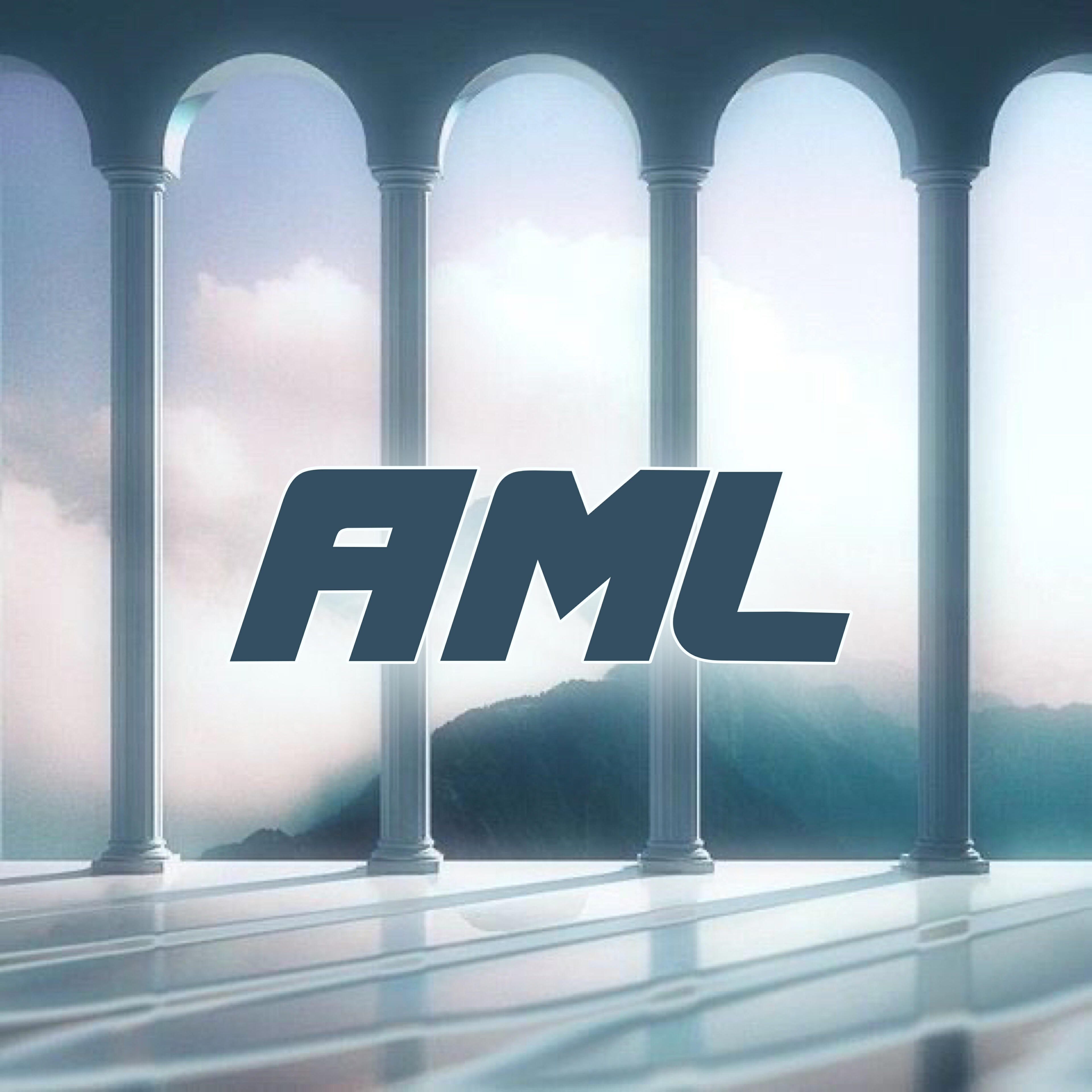 Релиз AML