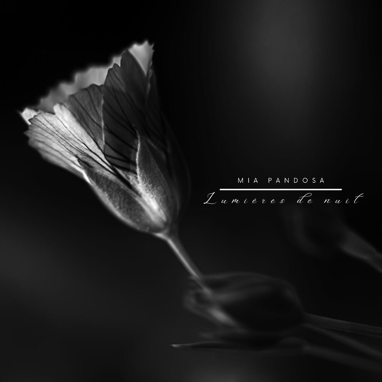 Трек Lumières de nuit