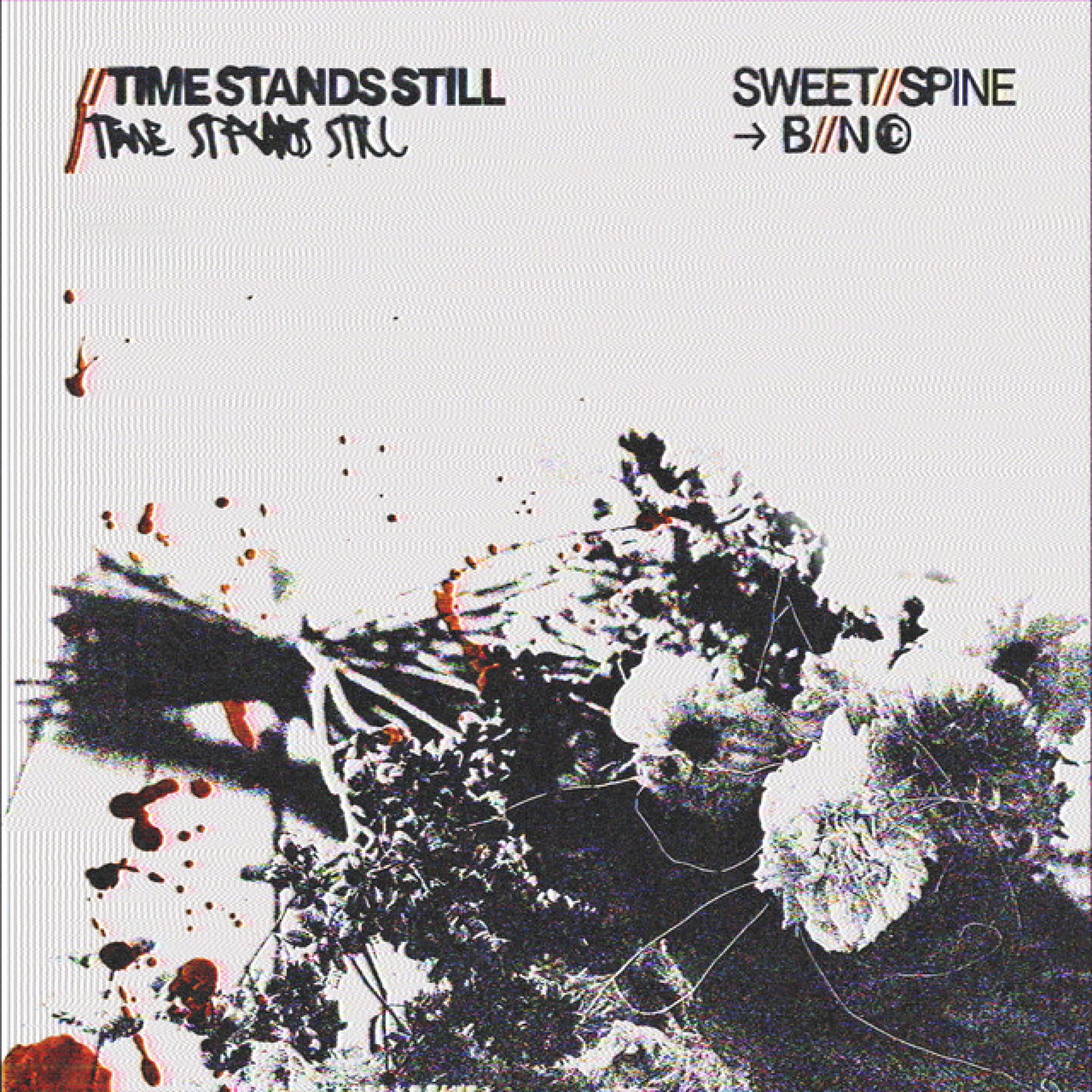 Релиз time stands still