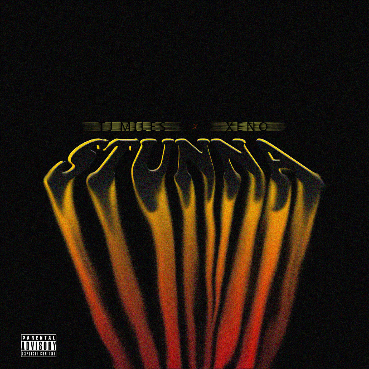 Релиз Stunna