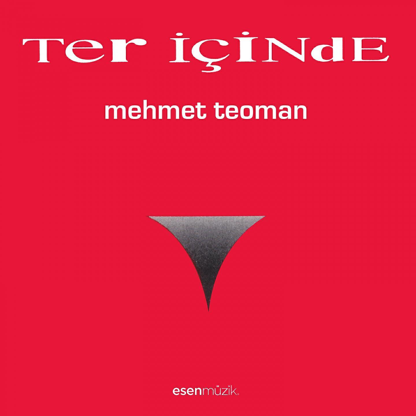Mehmet Teoman