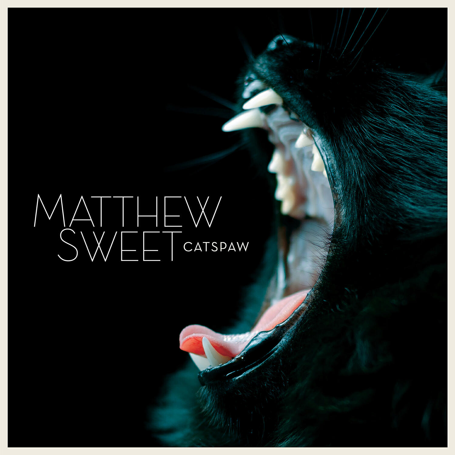 Релиз Catspaw