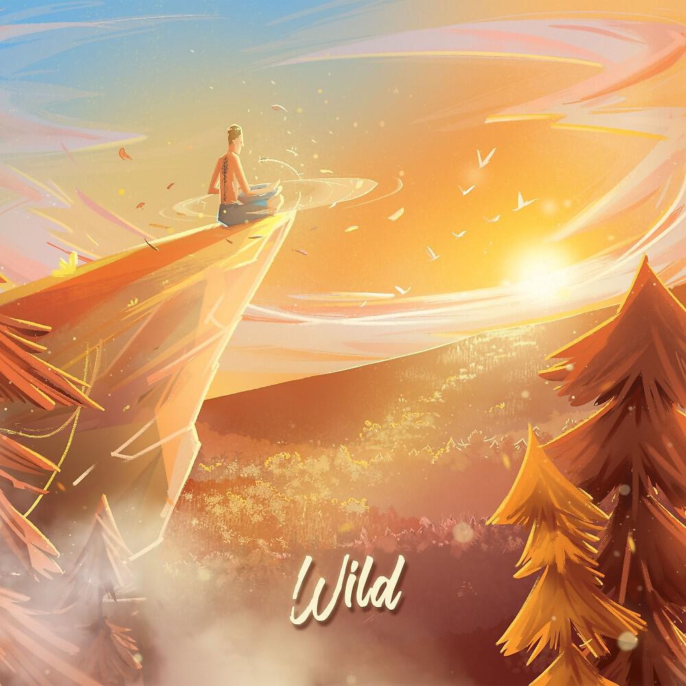 Релиз Wild