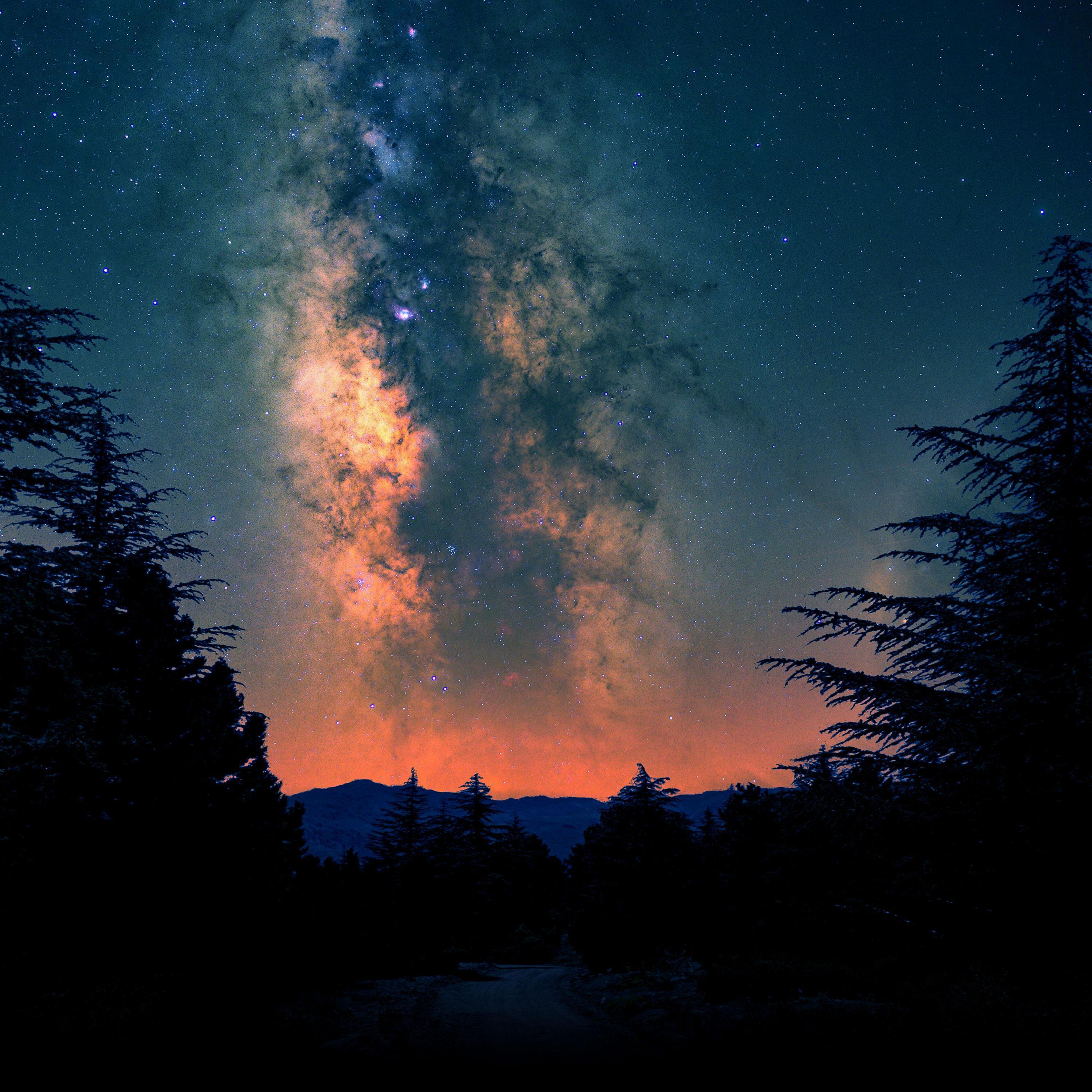 Релиз Starlit Meadows