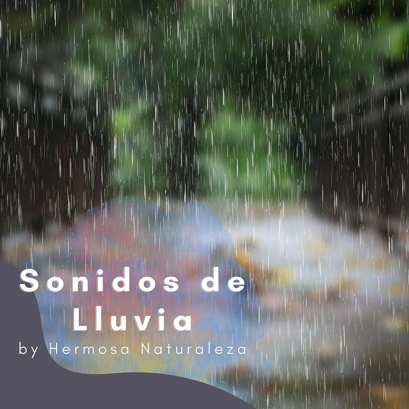 Релиз Sonidos De Lluvia