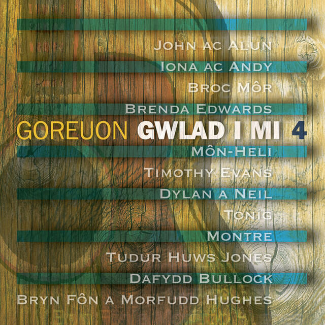 Постер альбома Gwlad I Mi 4