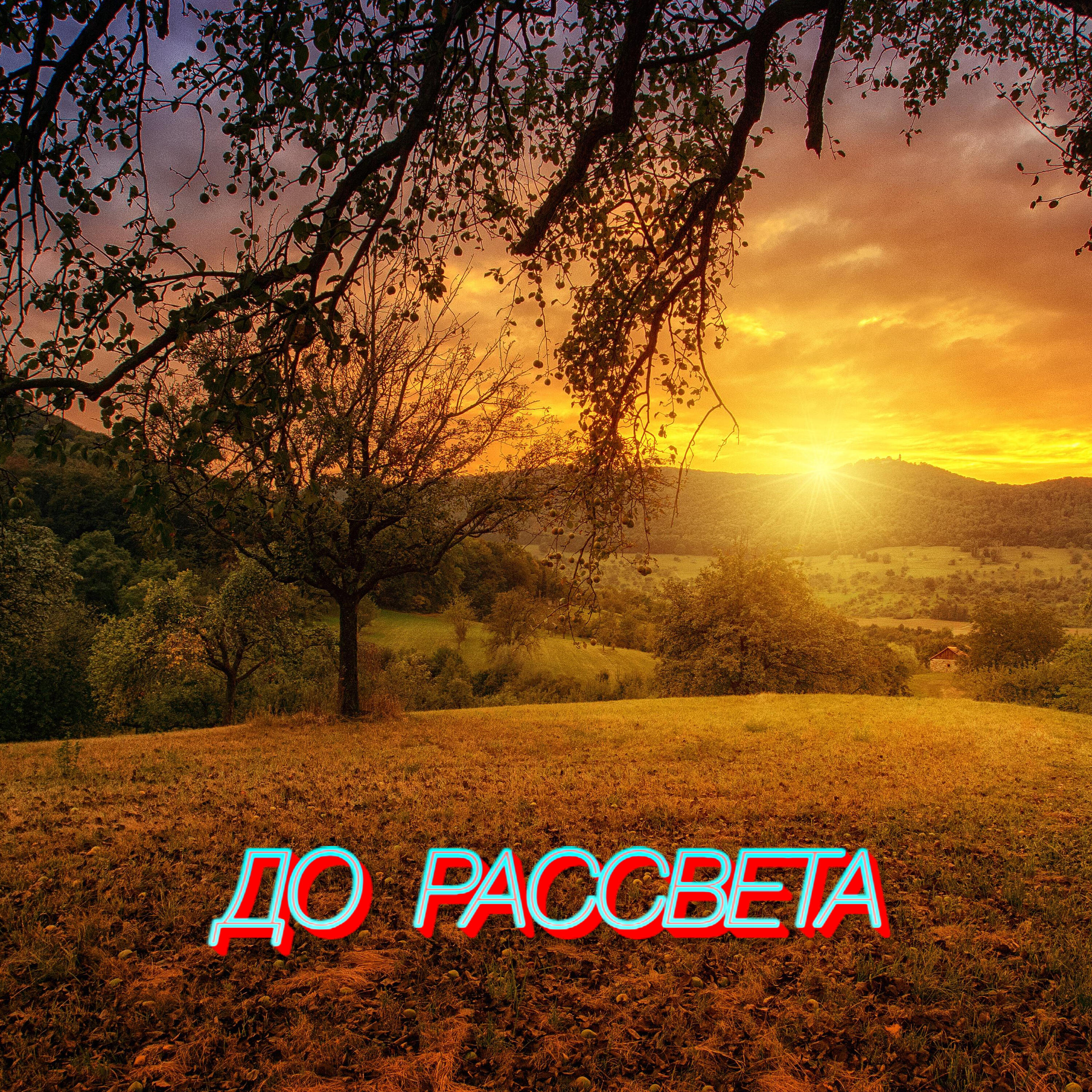 Релиз До рассвета