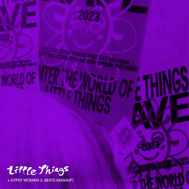 Релиз Little Things x Gypsy Woman (L BEATS MASHUP)