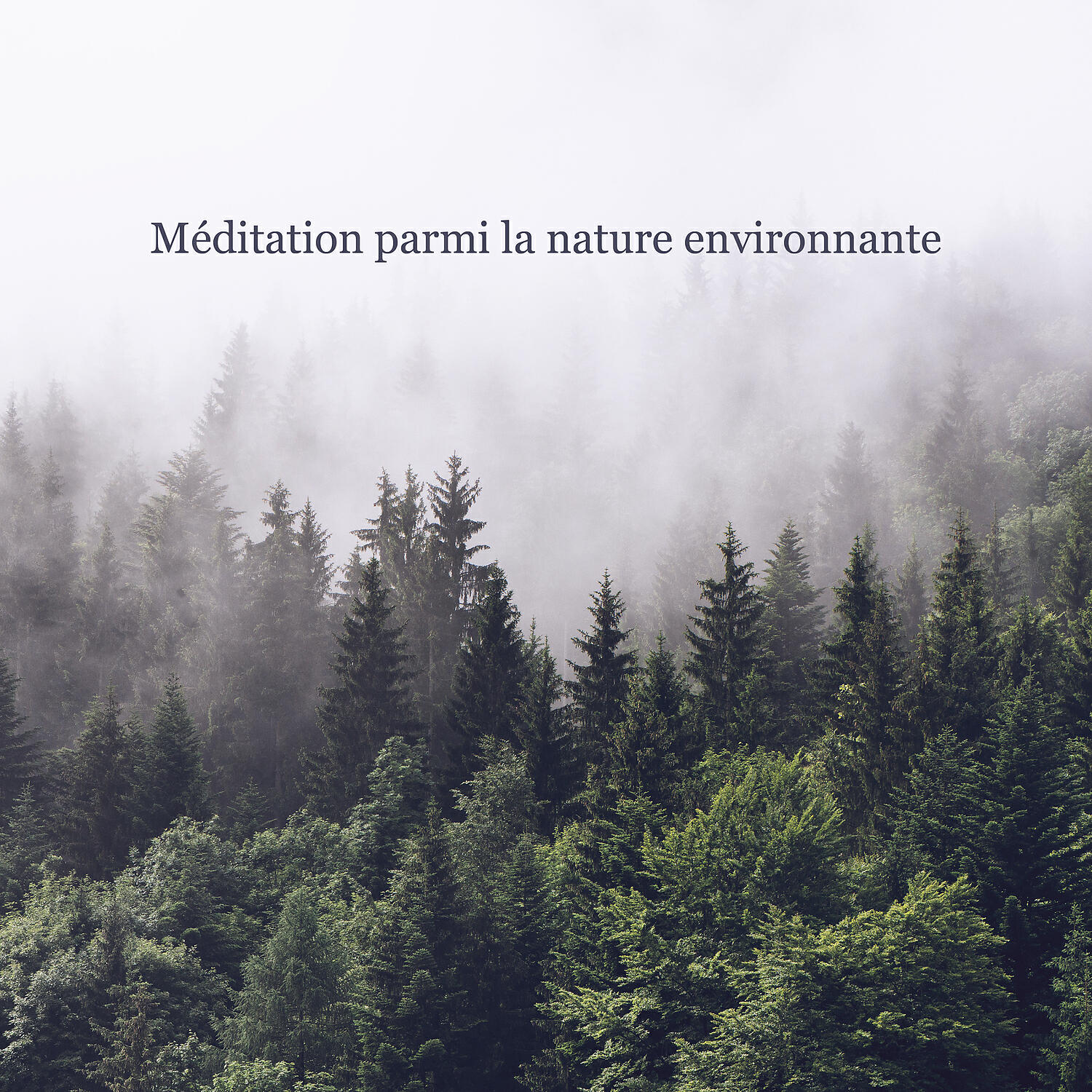 Релиз Méditation parmi la nature environnante. Belle musique relaxante, Exercice quotidien, Faire taire l'esprit