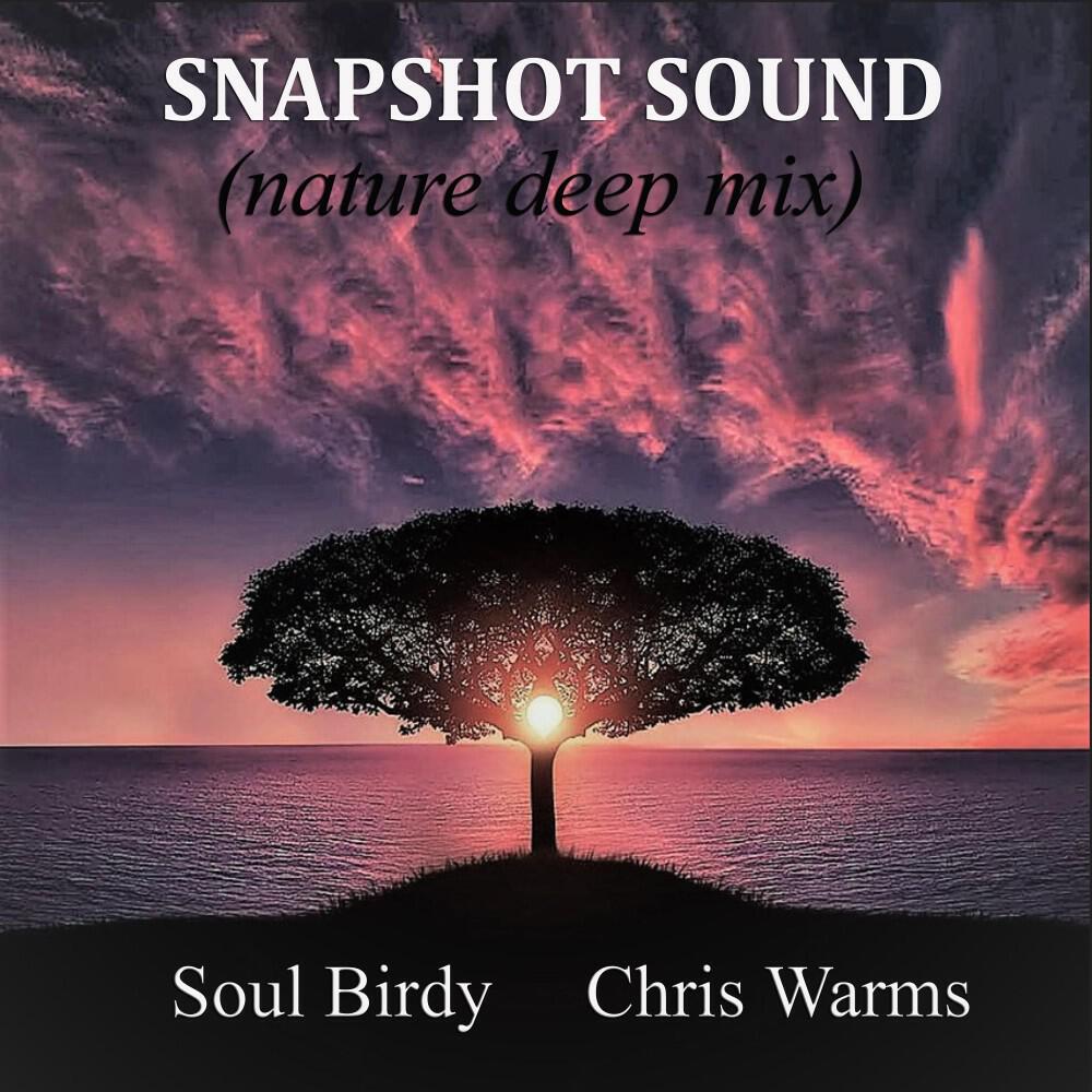 Soul Birdy