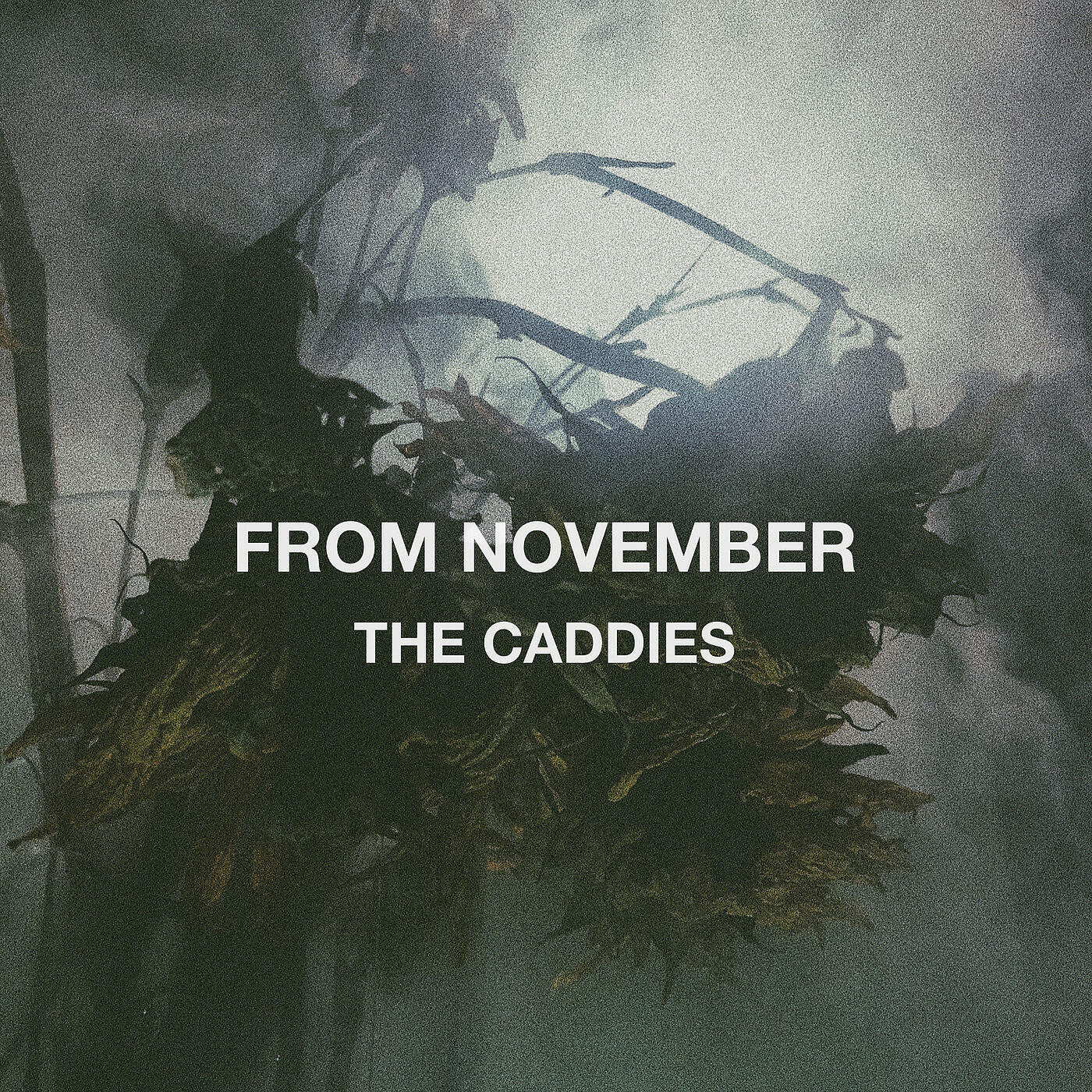 Релиз From November