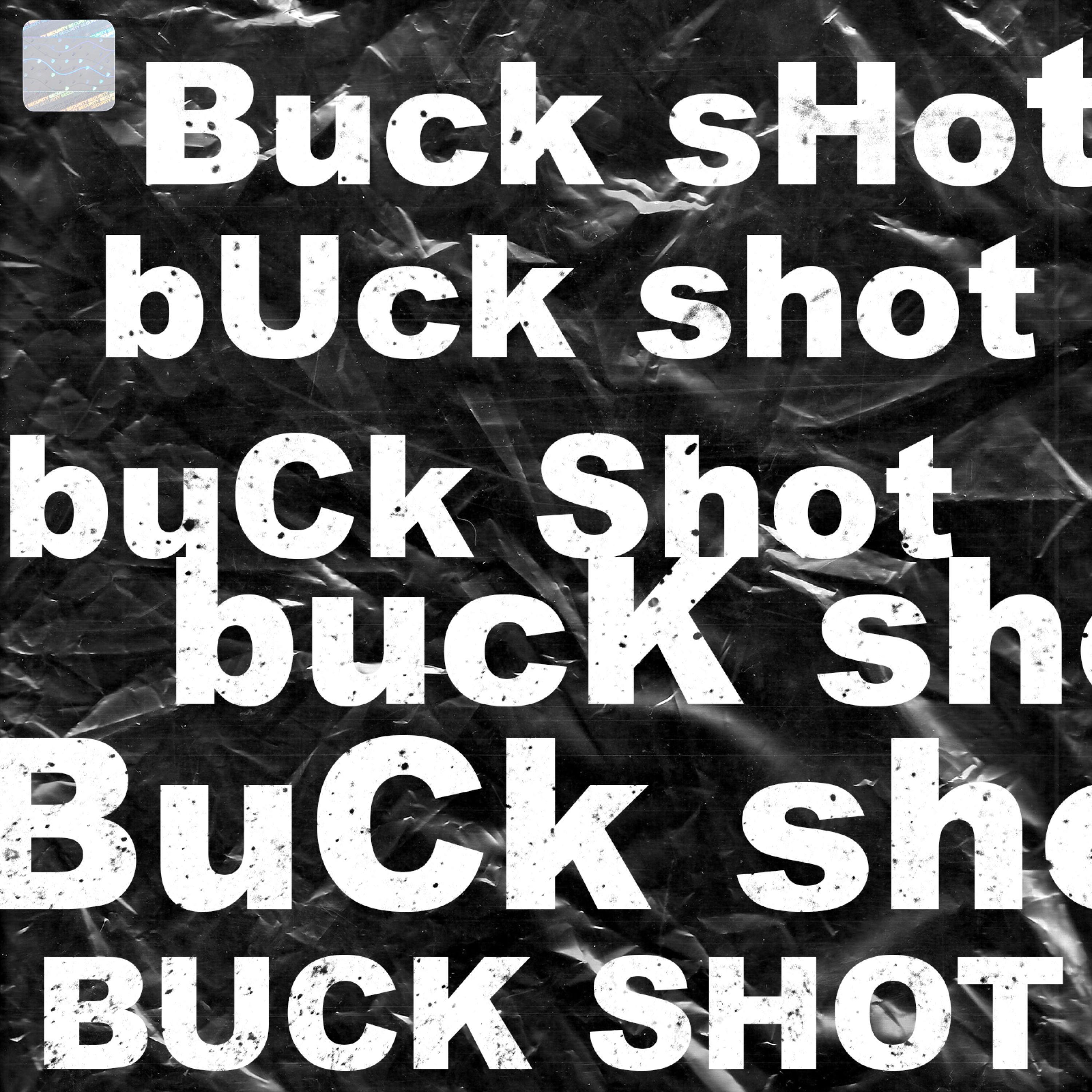 Релиз Buck Shot
