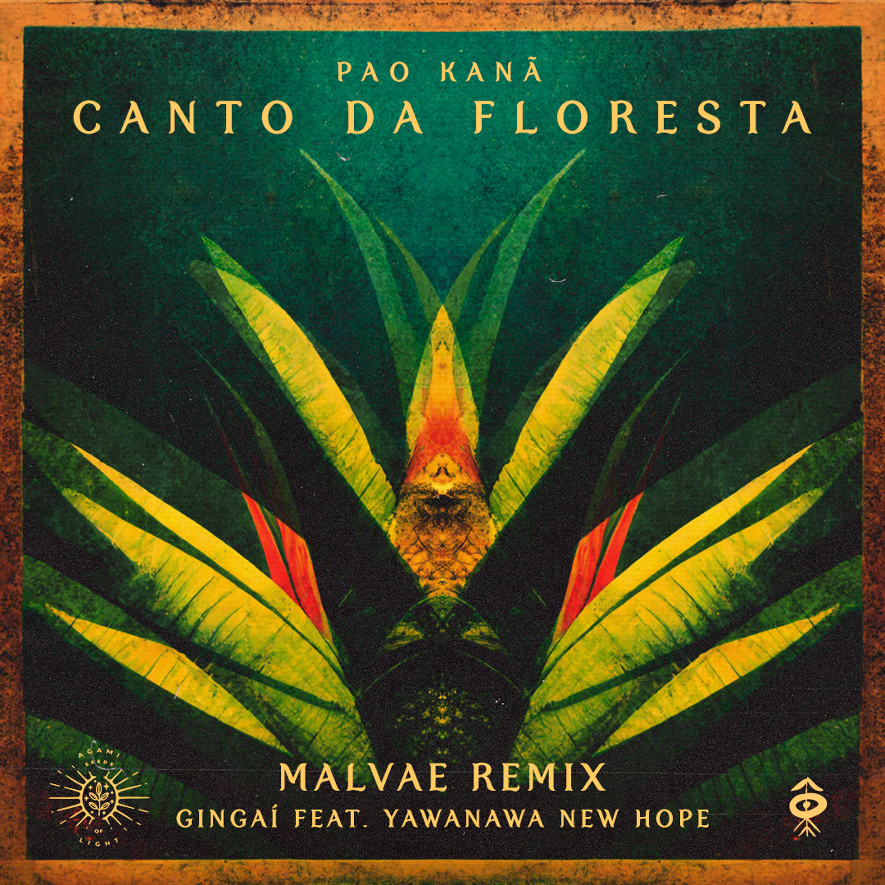 Релиз Pao Kanã - Canto da Floresta