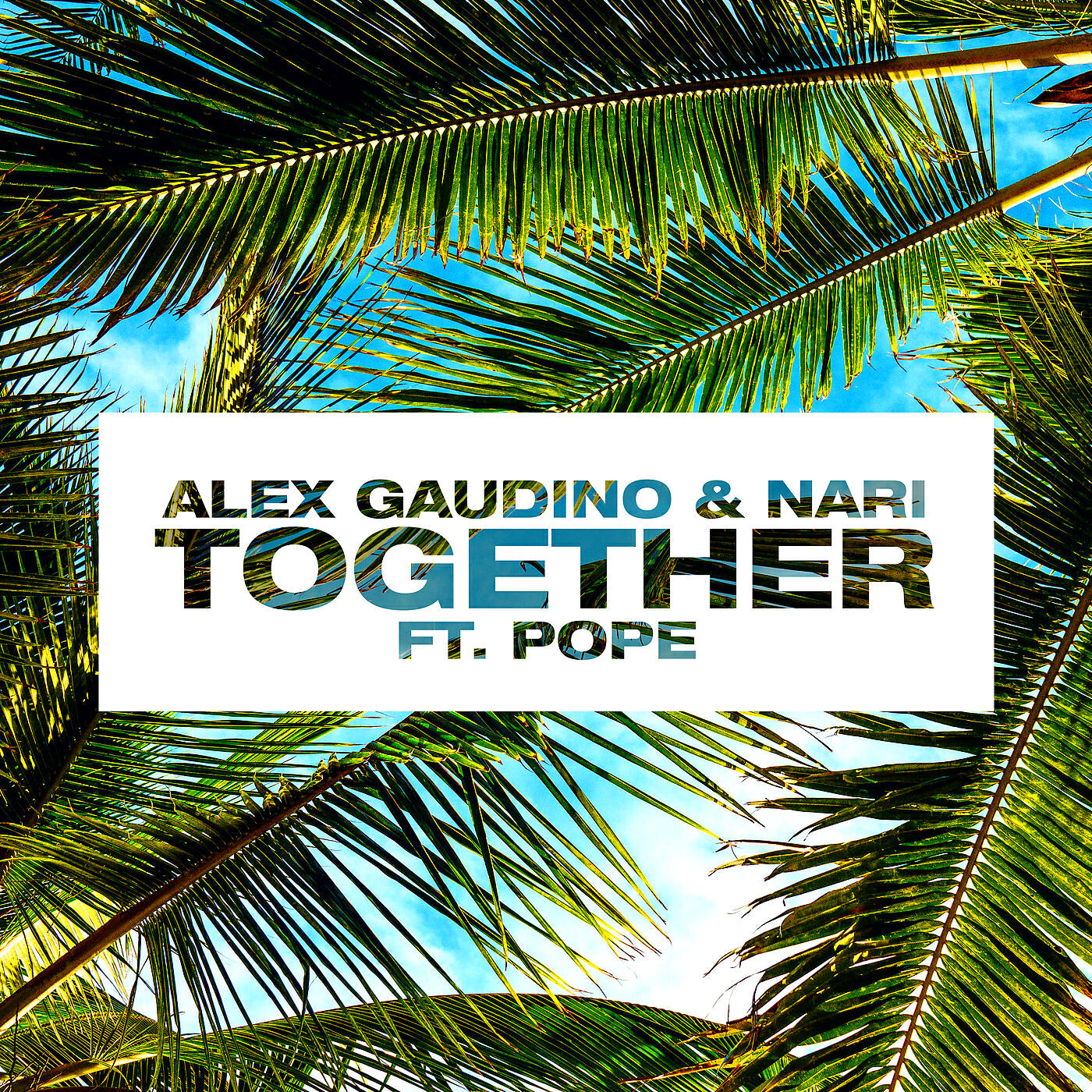Скачать песню Alex Gaudino, Nari, Pope - Together бесплатно в MP3 для Android и iOS