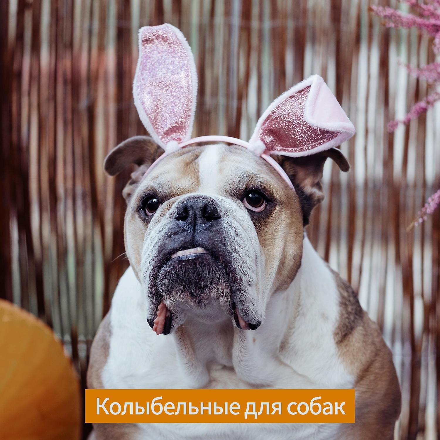 Постер альбома Колыбельные для собак – Cпокойная фортепианная фоновая музыка, расслабляющие песни для домашних животных, анксиолитическое, глубокий сон