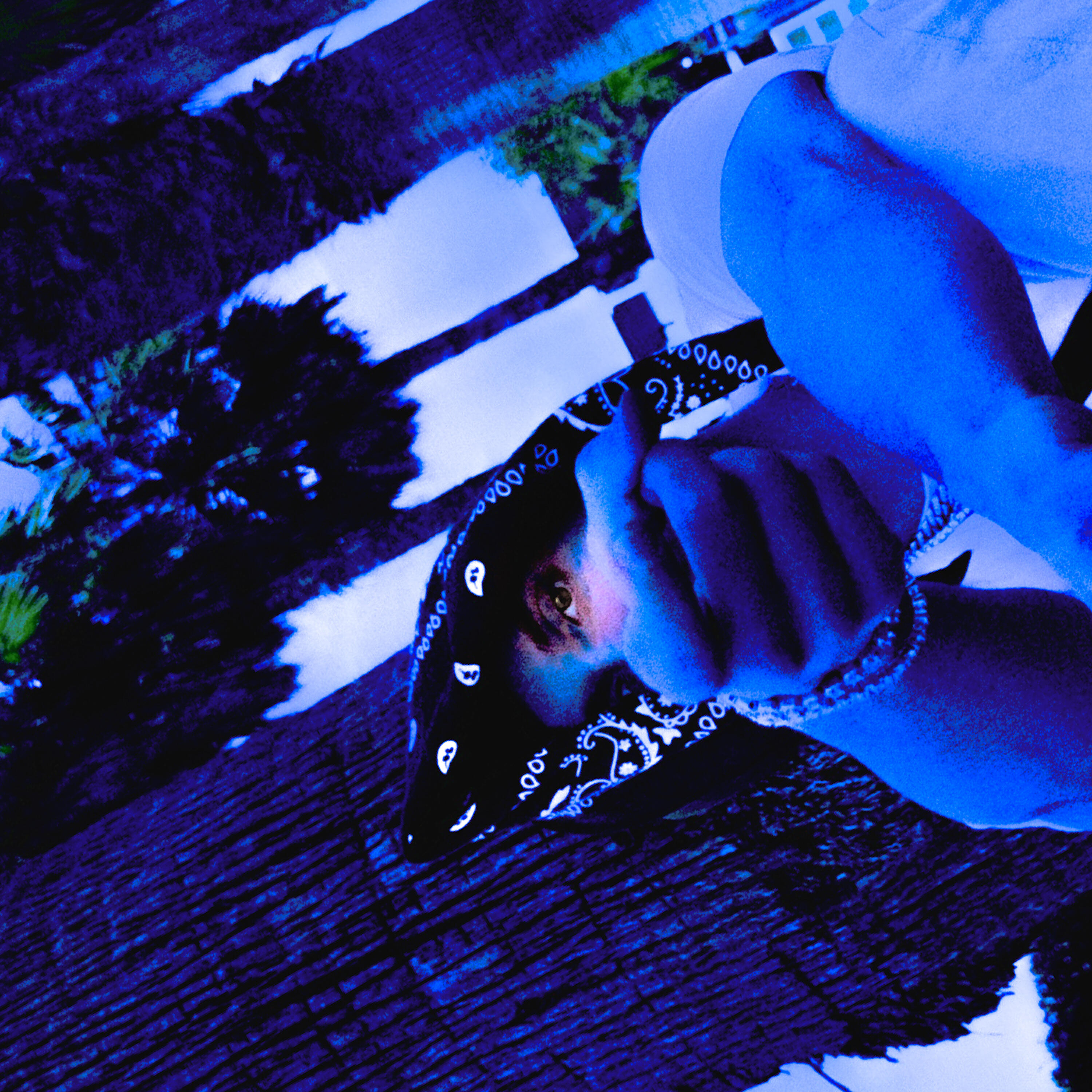 Релиз WHITE BLUES