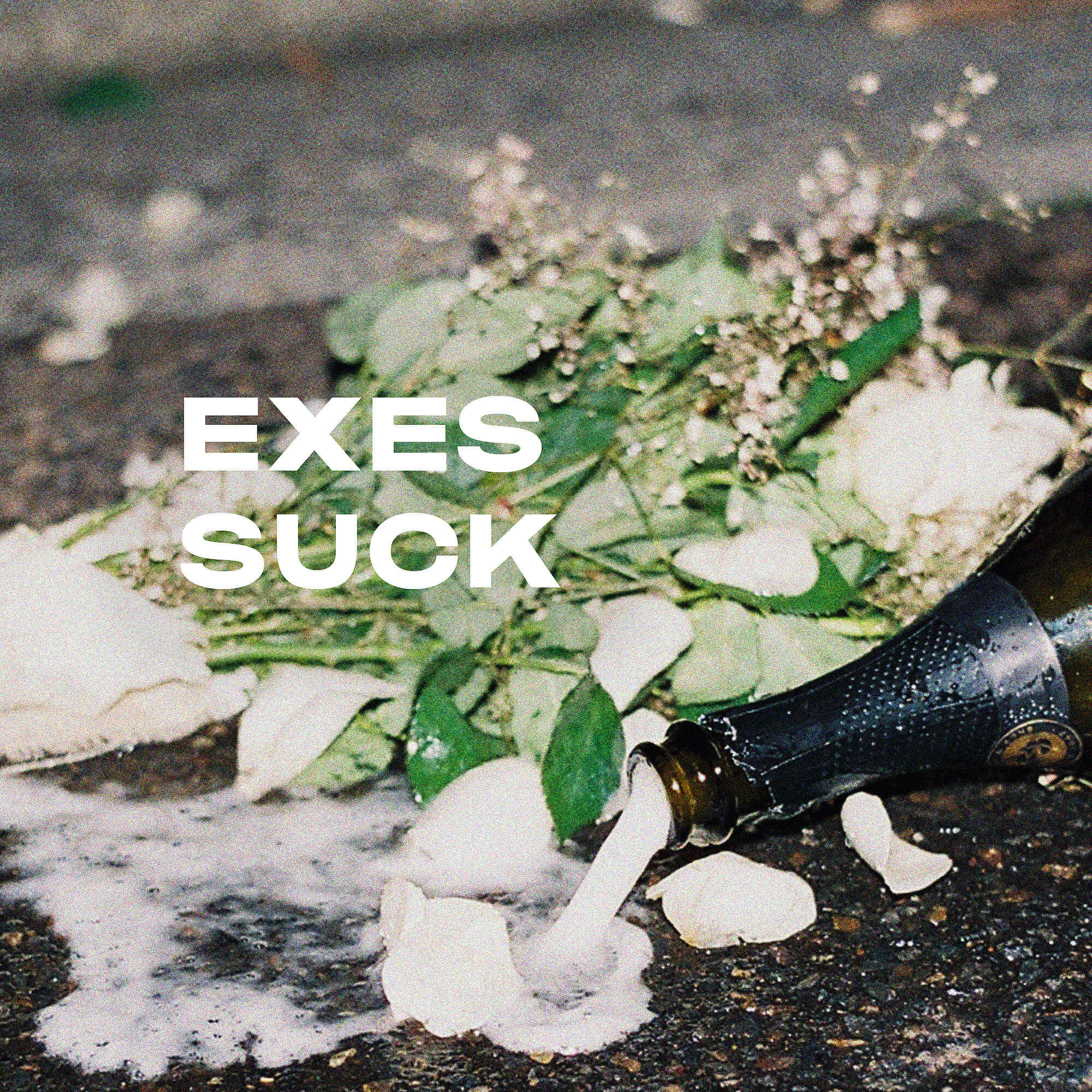 Релиз Exes Suck (Acoustic)