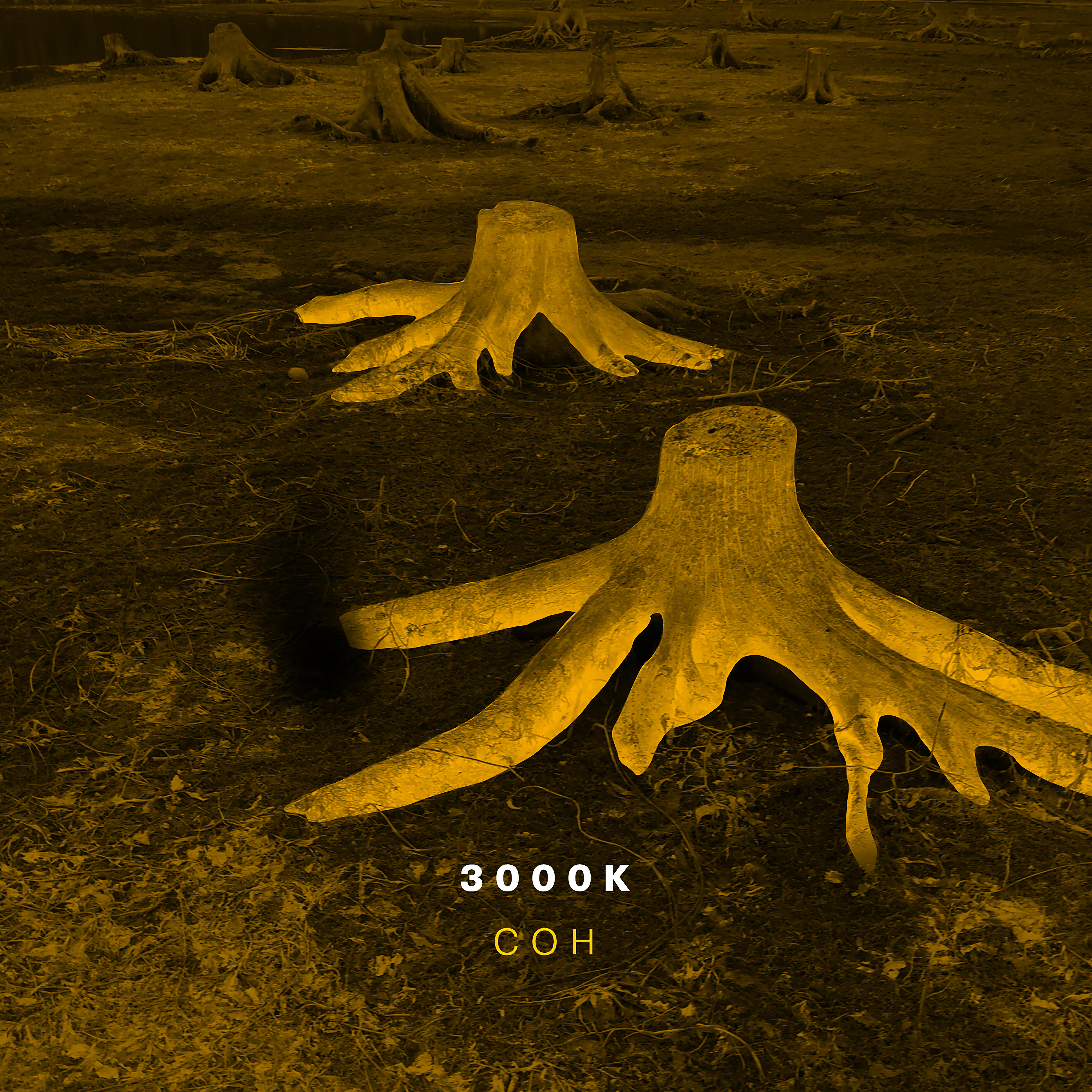 Релиз Сон