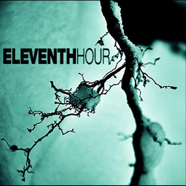 Релиз The Eleven Days of Christmas