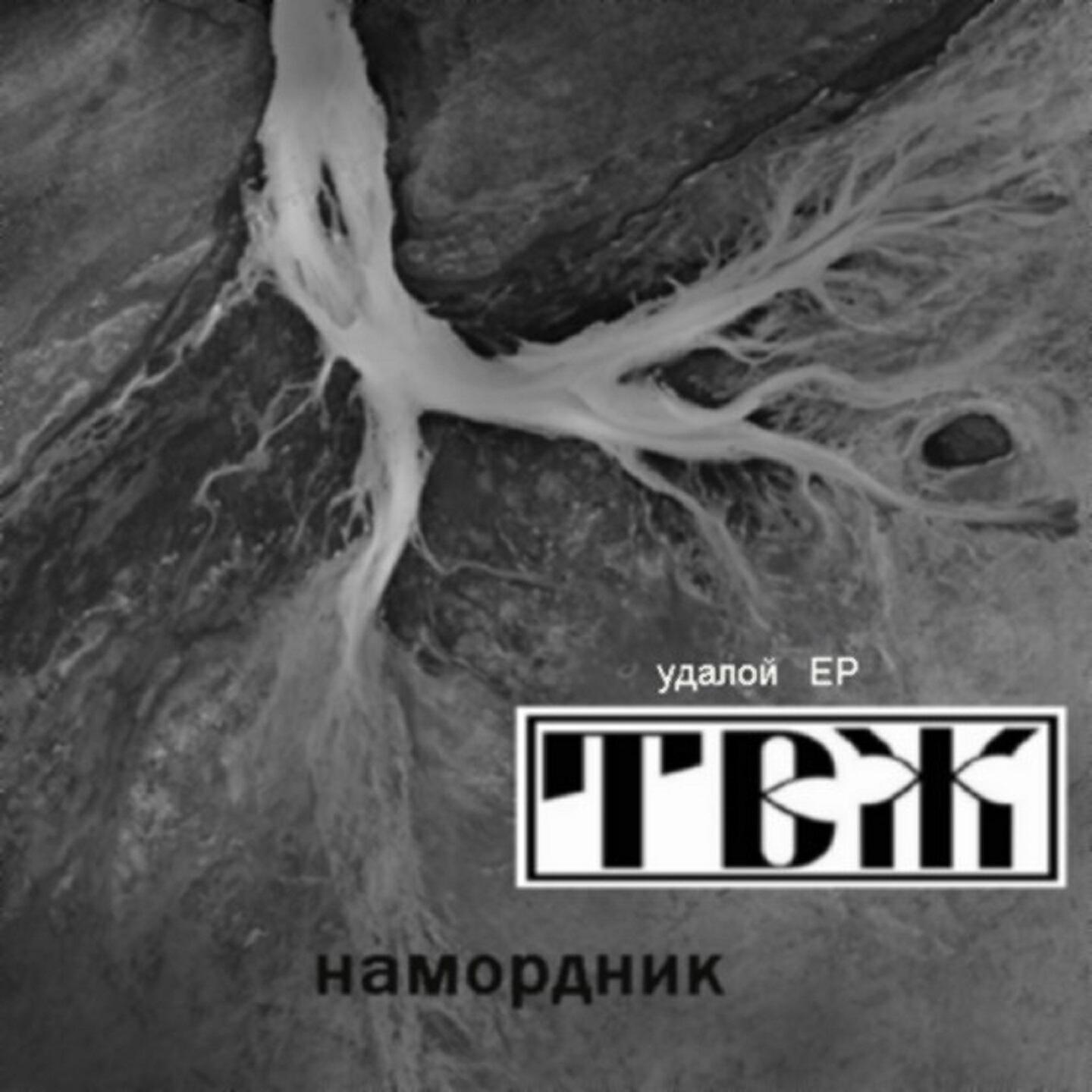 Скачать песню Трагедия Всей Жизни, Doonool - Толян бесплатно в MP3 для Android и iOS