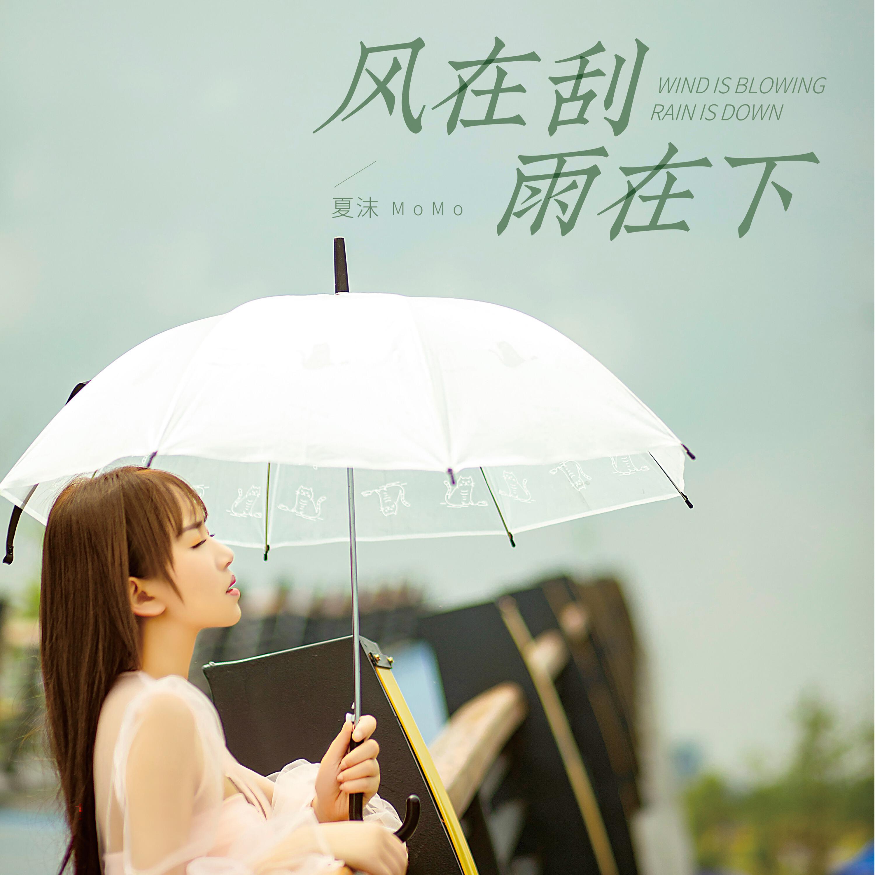 Релиз 风在刮雨在下