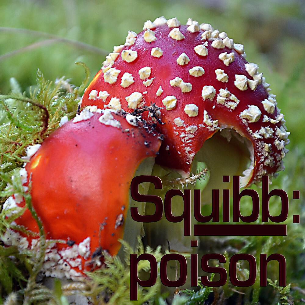Релиз Poison