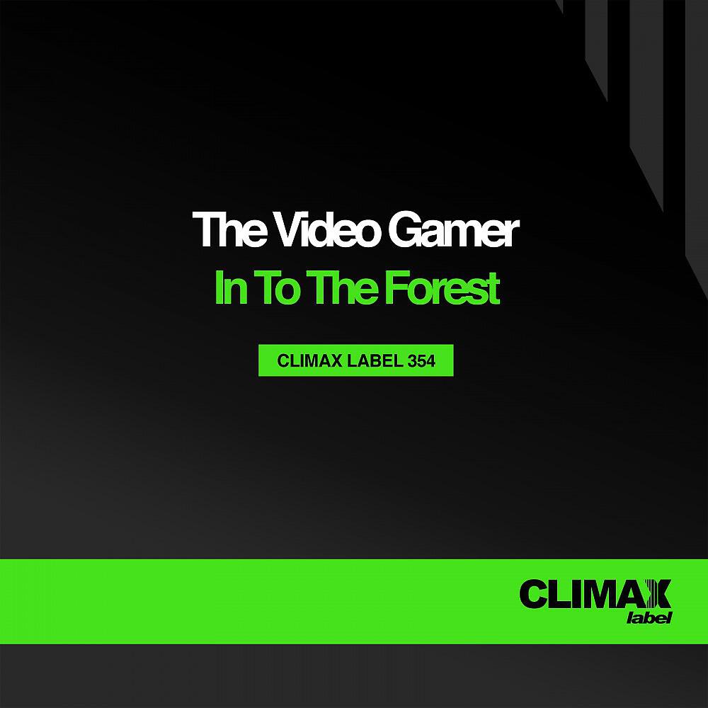 The Video Gamer