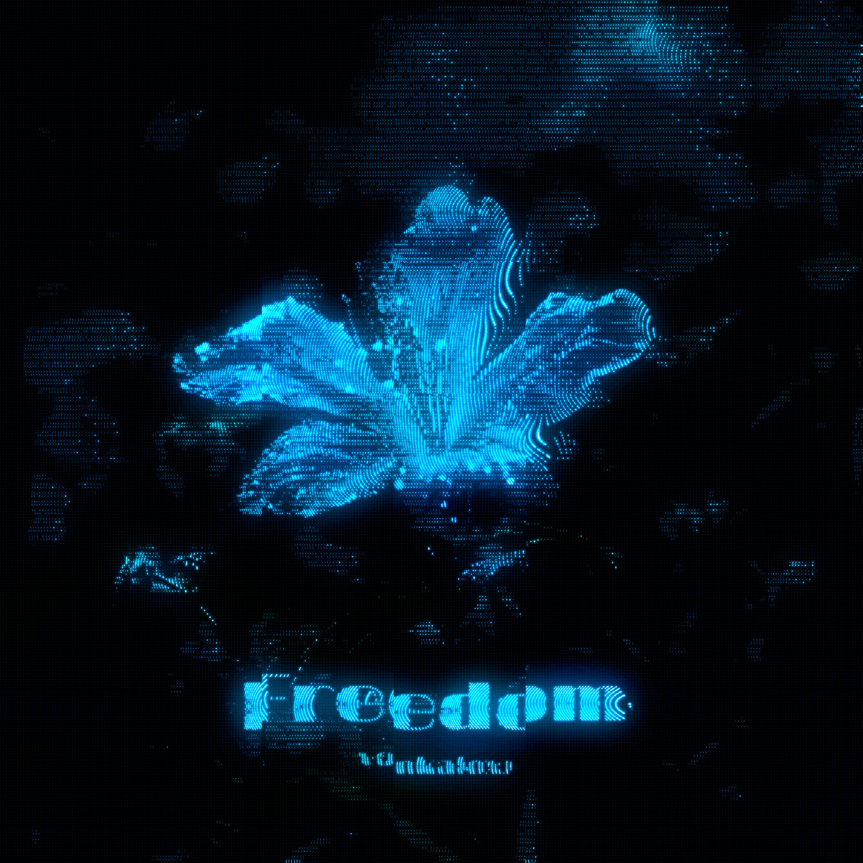 Релиз Freedom