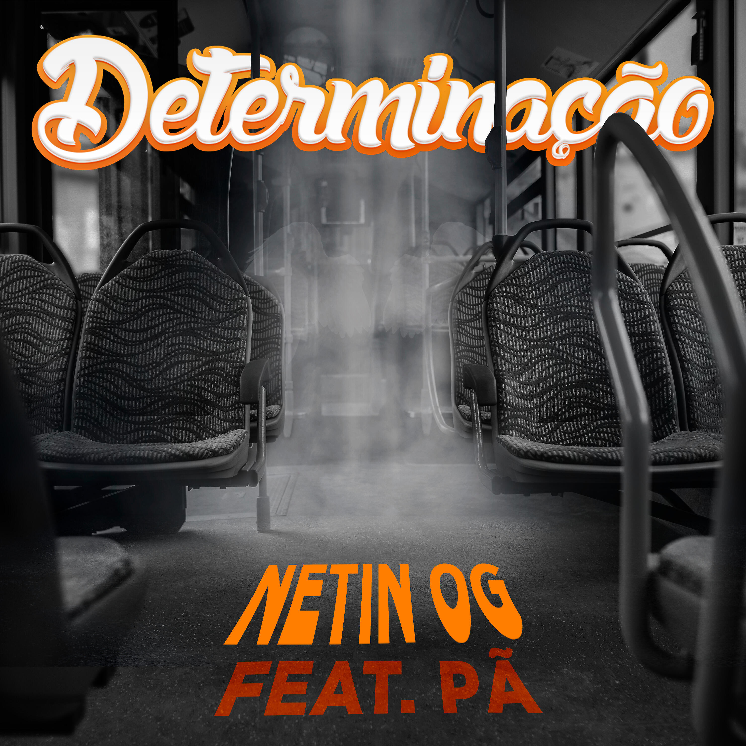 Релиз Determinação