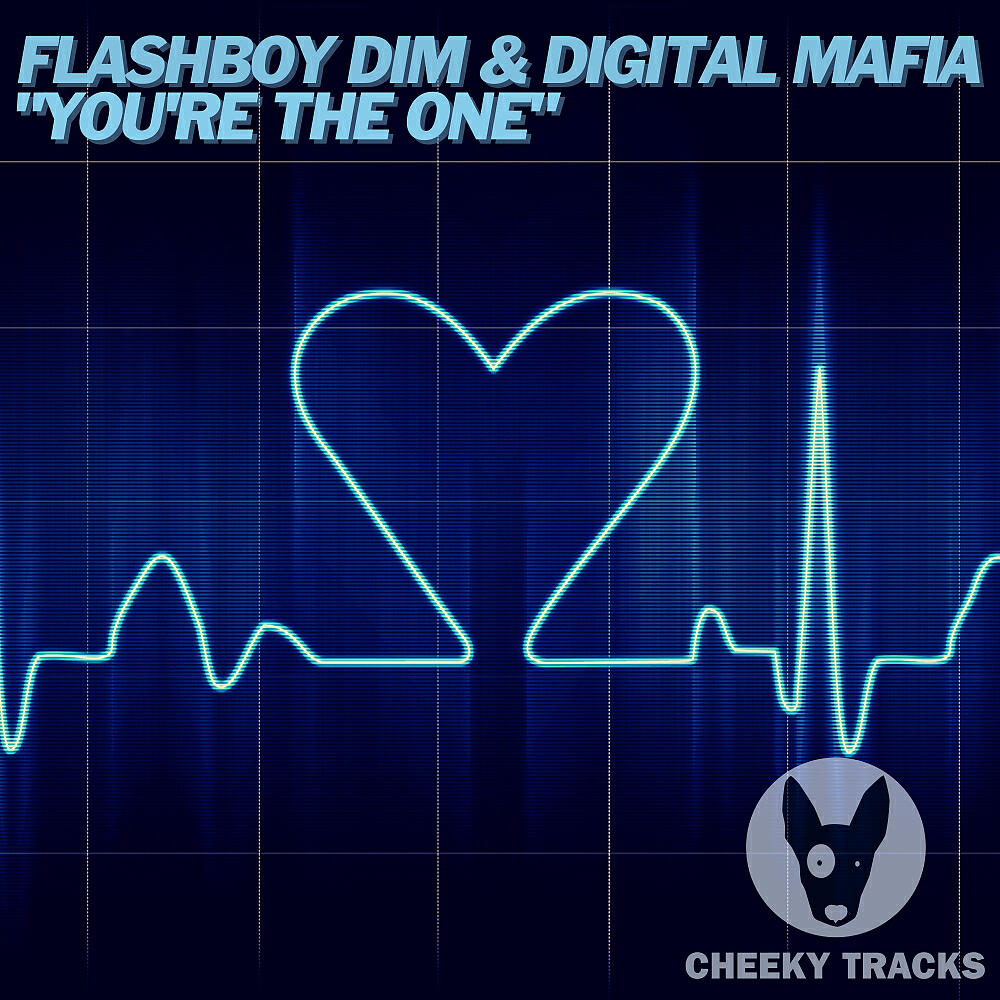 Flashboy Dim