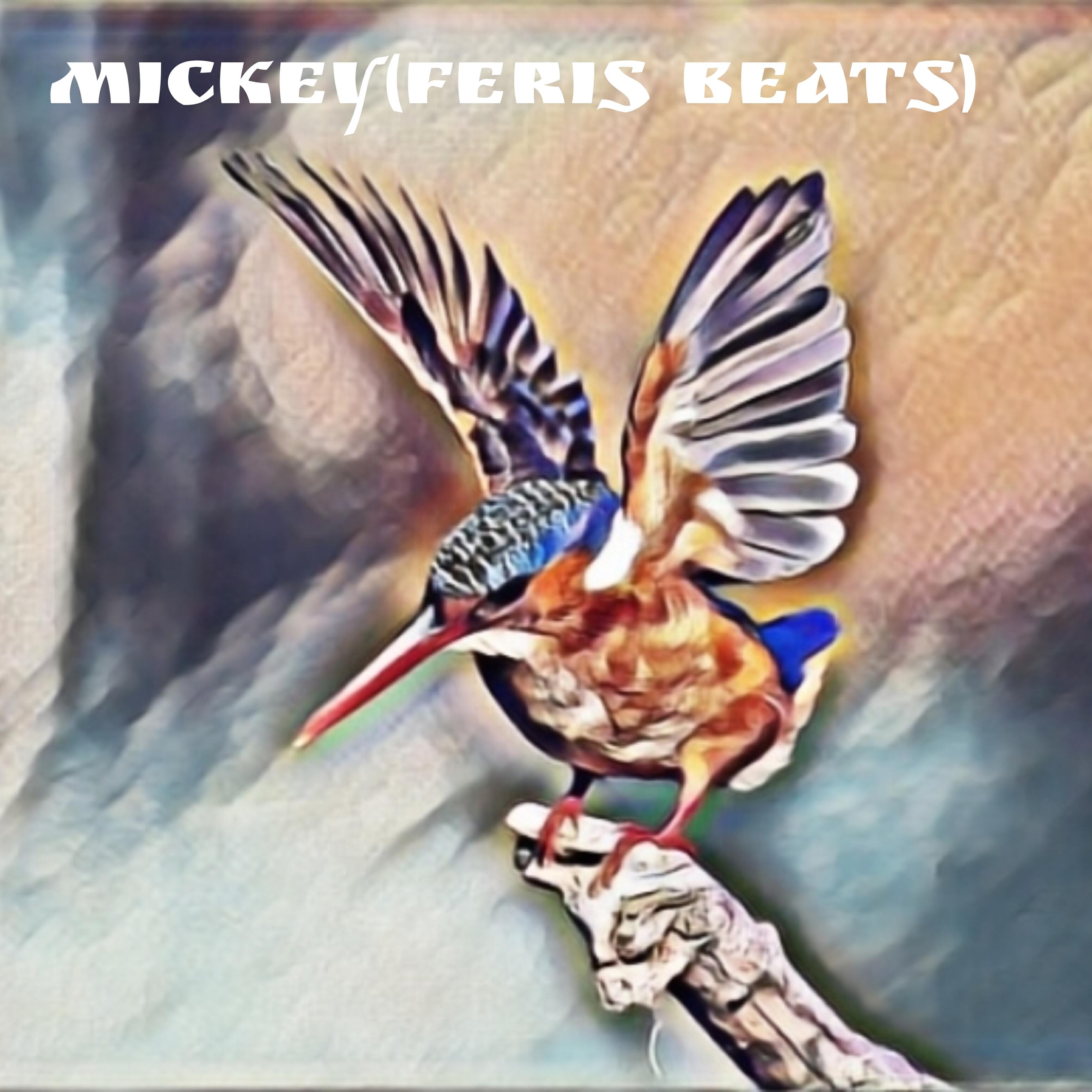 Релиз Mickey (Feris Beats)
