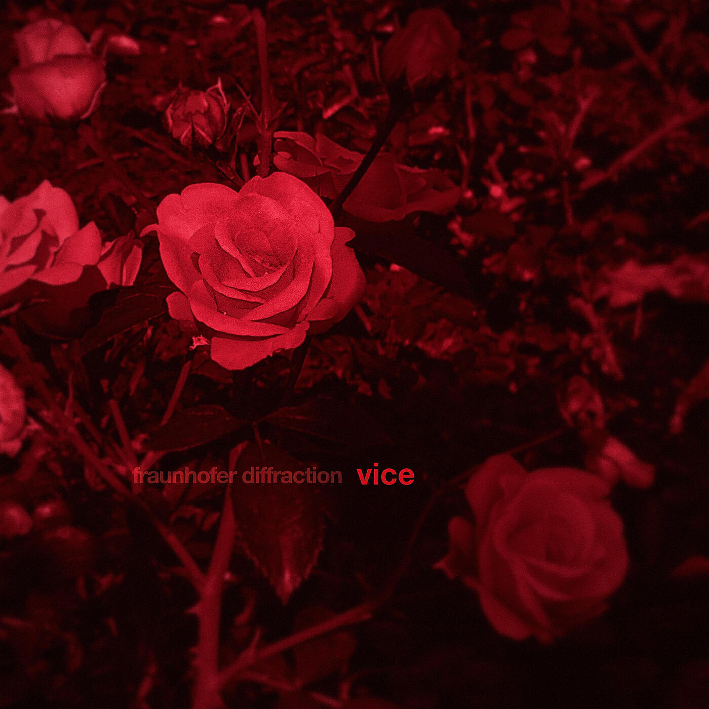 Релиз Vice