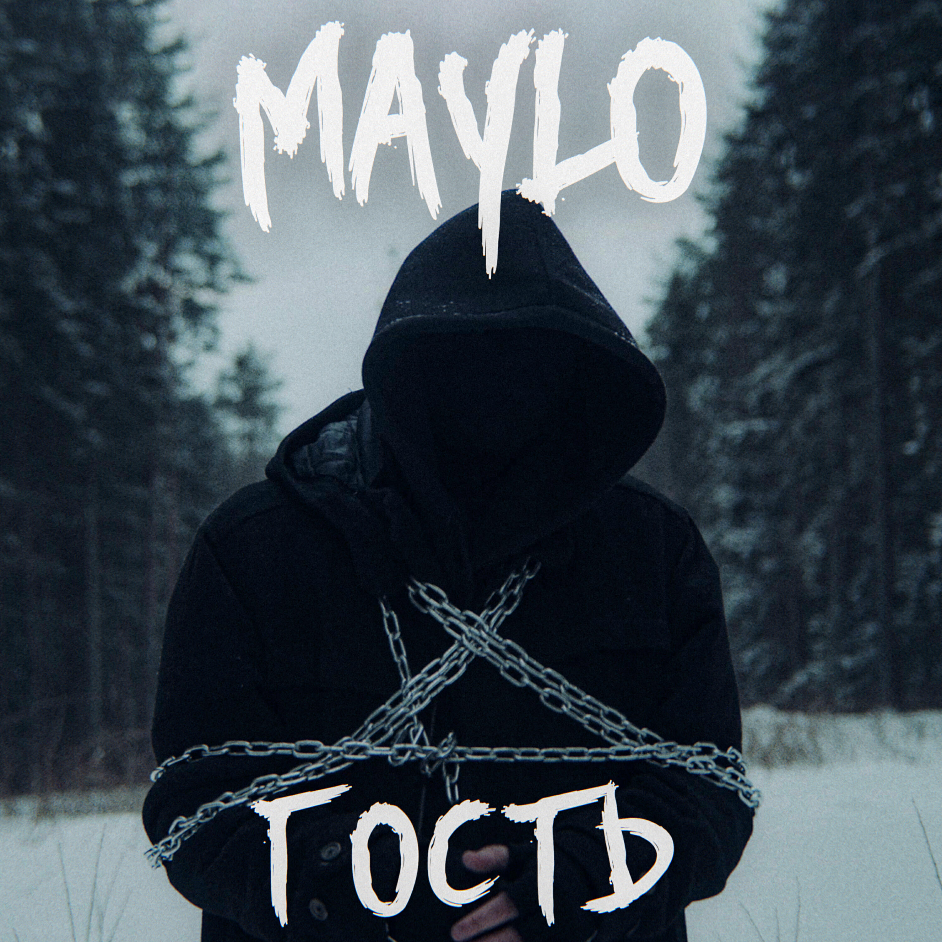 Релиз Гость