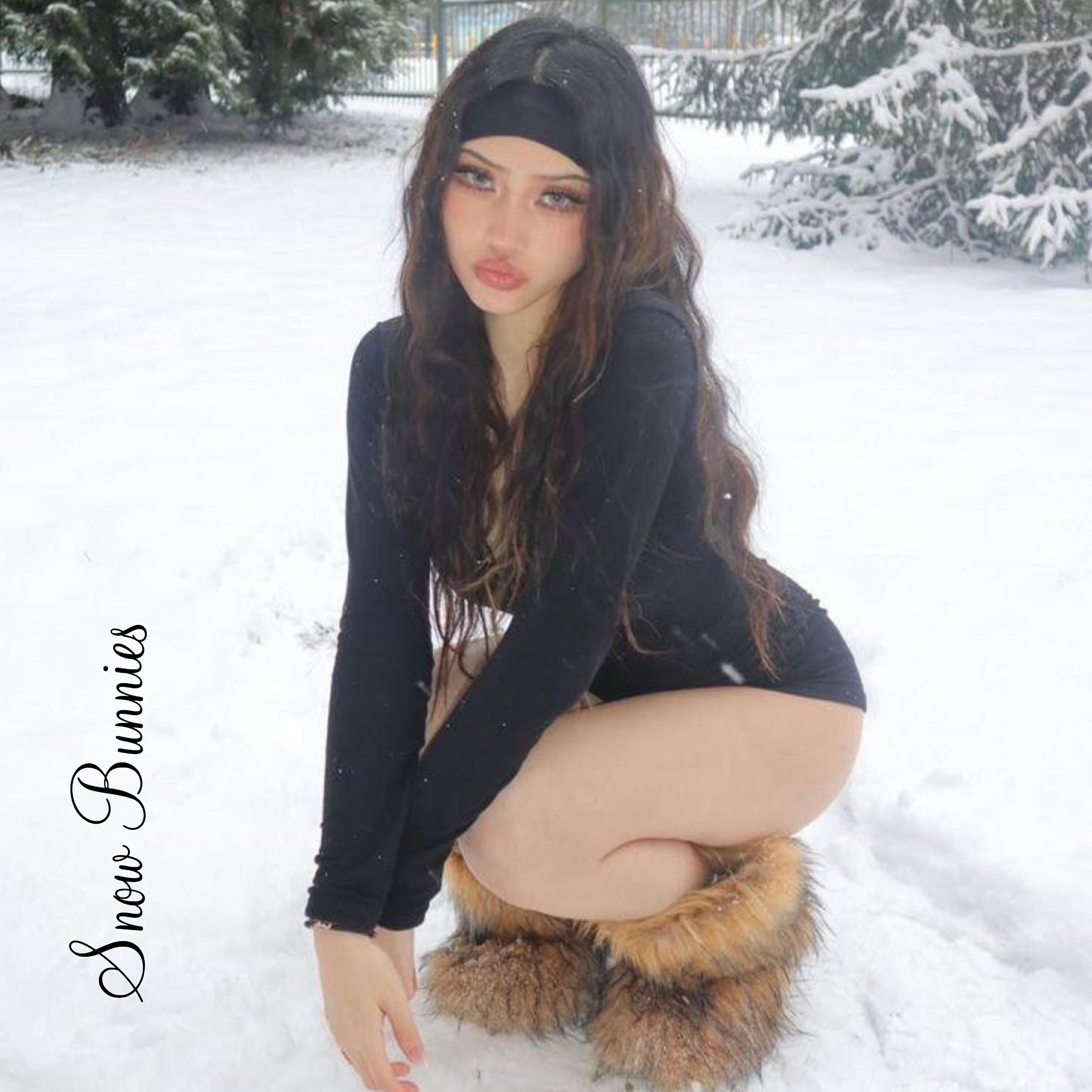 Постер альбома Snow Bunny