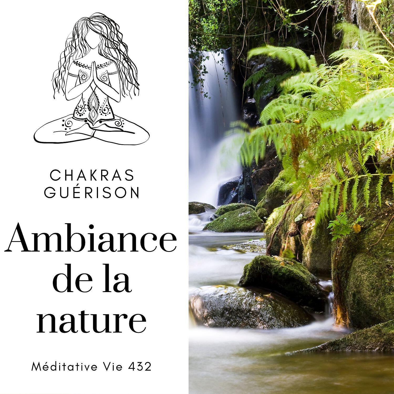 Релиз Ambiance de la nature - Chakras guérison