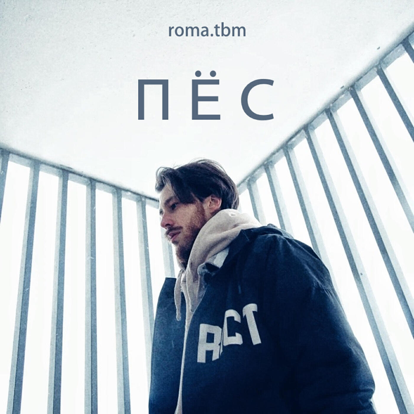 Релиз Пёс