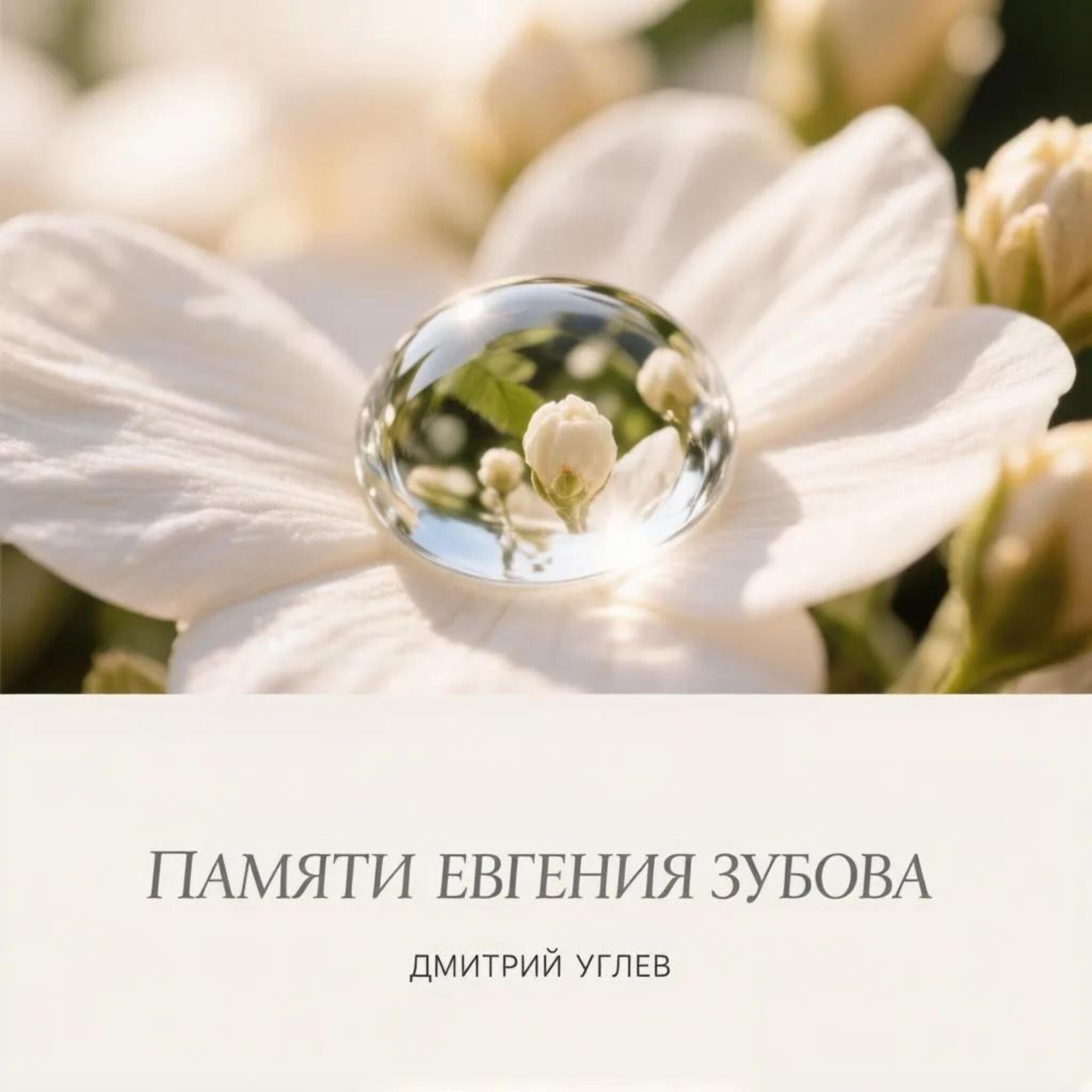Релиз Памяти Евгения Зубова