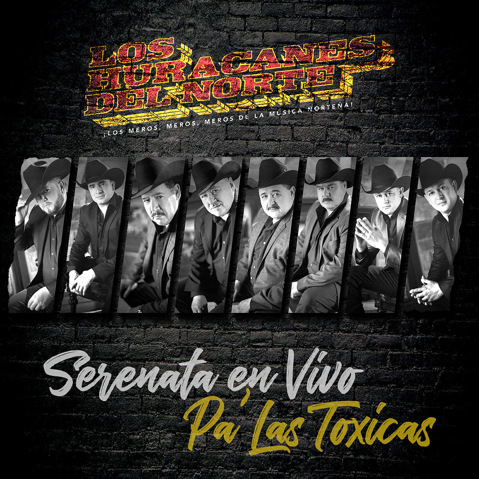 Релиз Serenata En Vivo Pa' Las Toxicas
