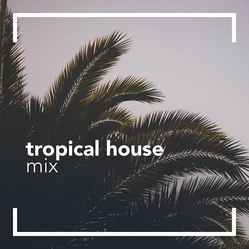 Релиз Tropical House Mix