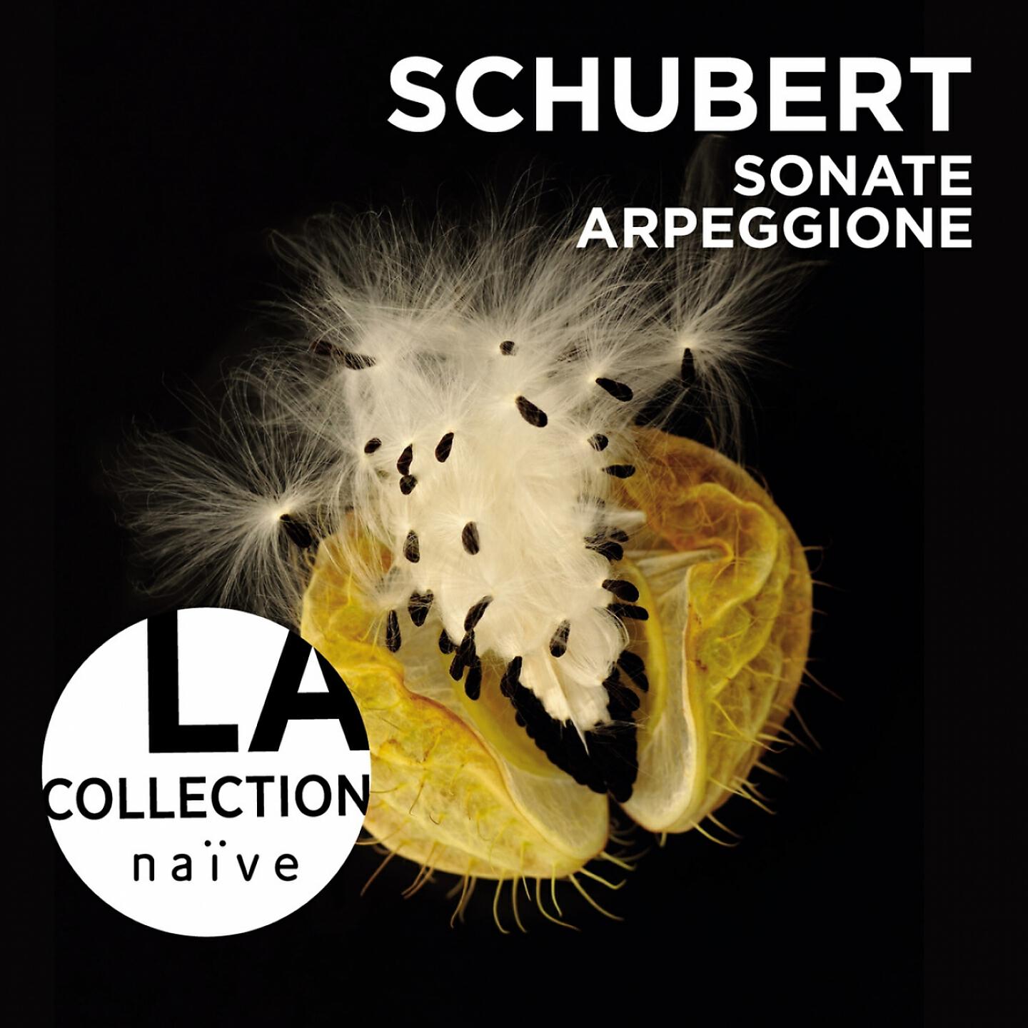 Релиз Schubert: Sonate Arpeggione