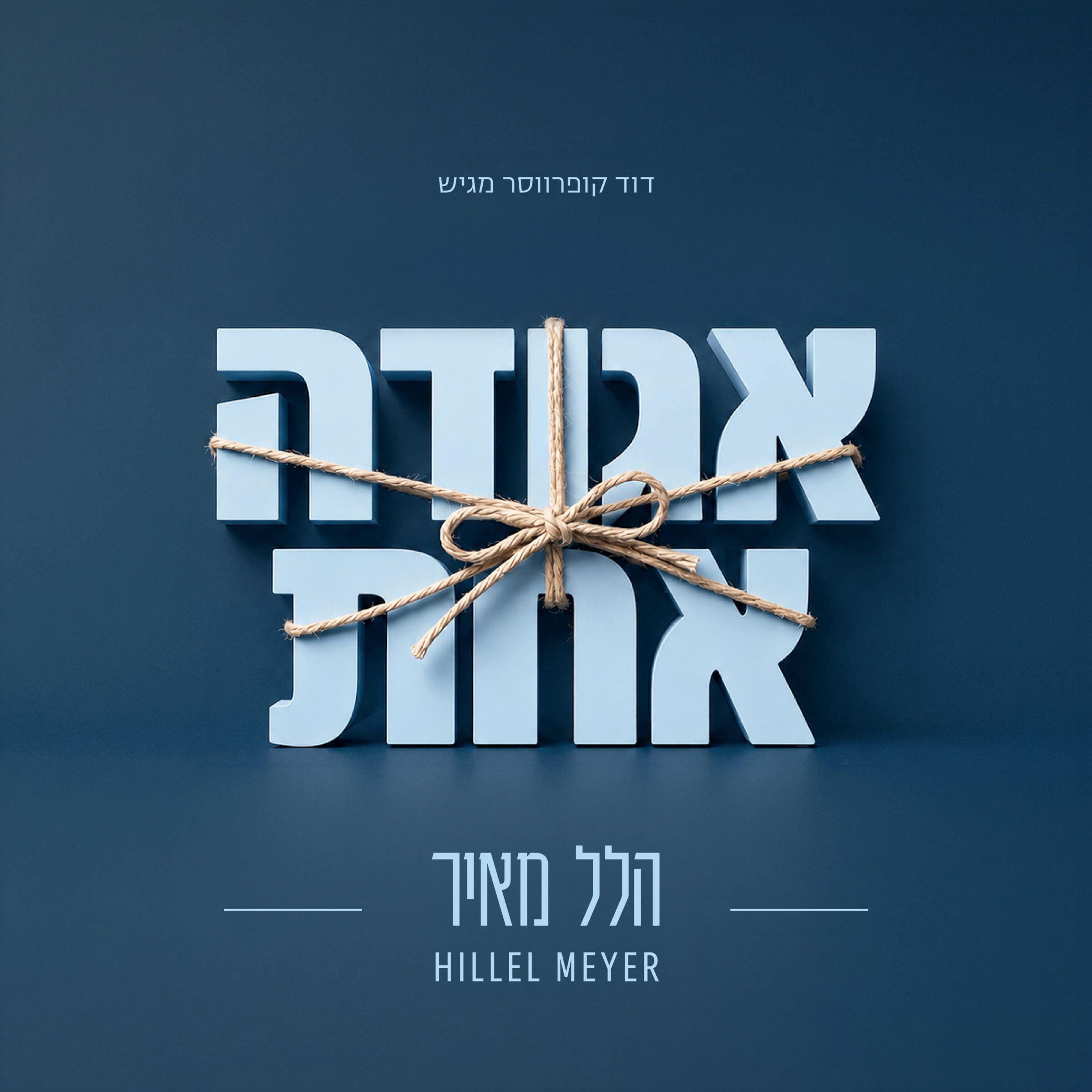 הלל מאיר