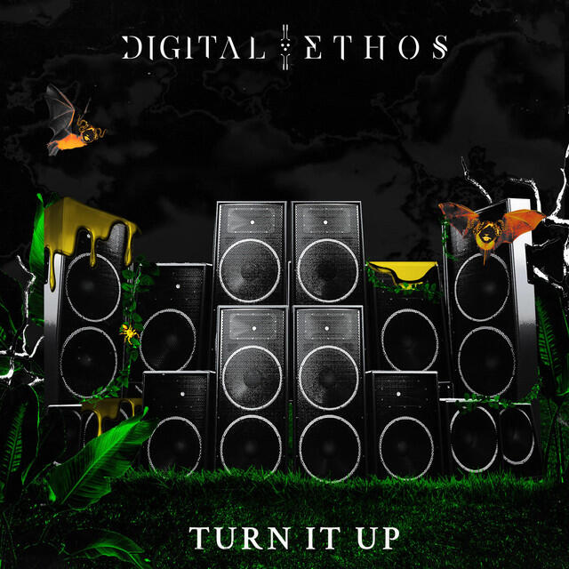 Релиз Turn It Up