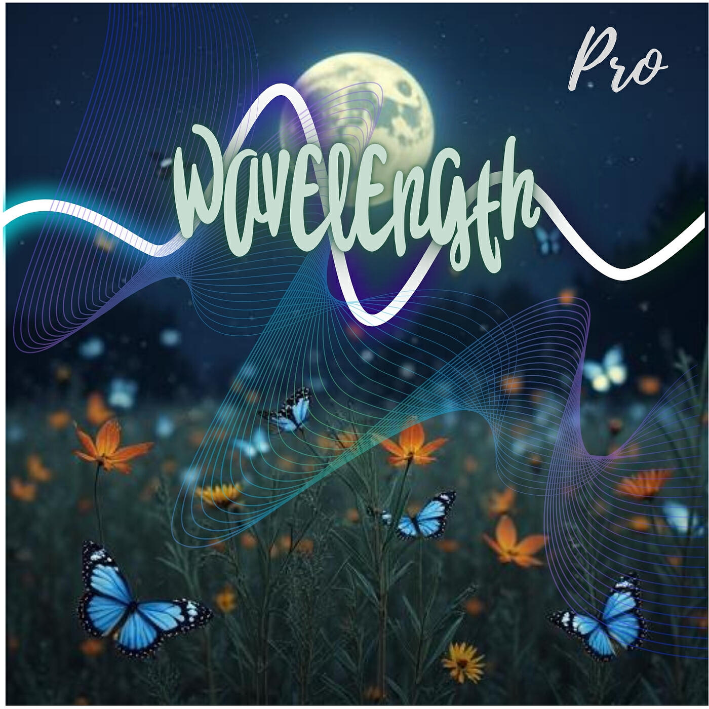 Релиз Wavelength