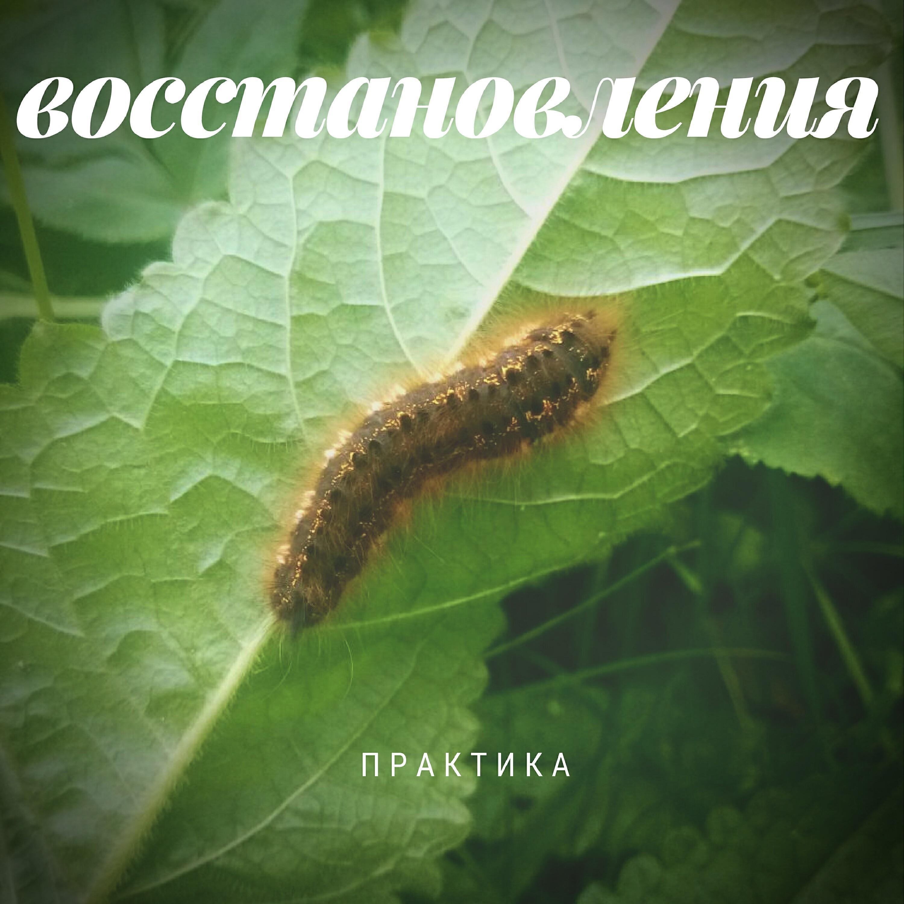 Владислав Сиренко