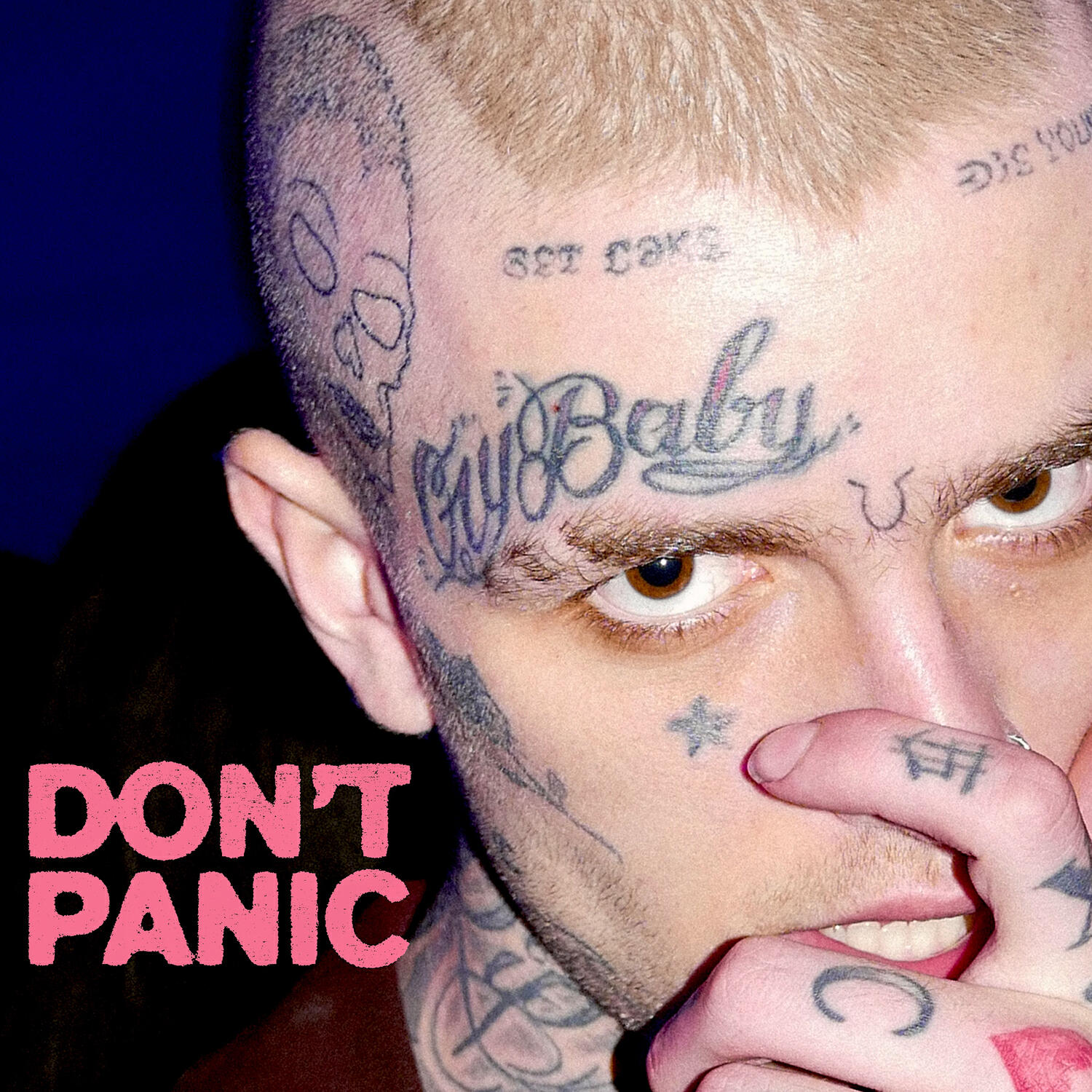 Релиз DON'T PANIC