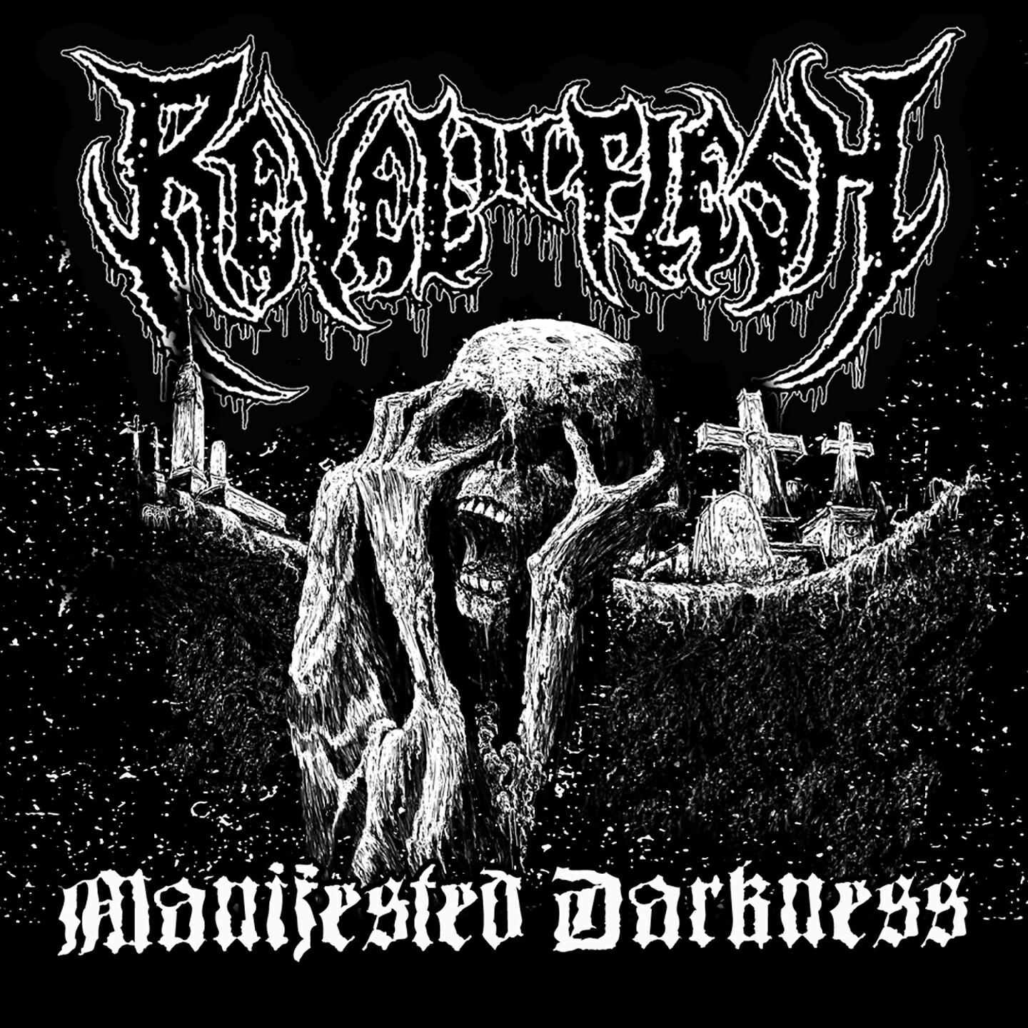 Постер альбома Manifested Darkness